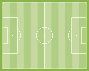 Leyu Sport下载-中国足球场地适应性影响因素，足球场地分析