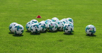 Leyu Sport下载-中国足球场地适应性影响因素，足球场地分析