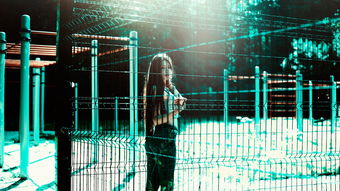 乐鱼体育网页登录-基于大数据的学生体育健康评估模型构建，体育大数据应用