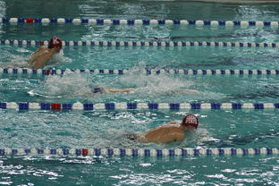 “世界游泳锦标赛：2025新加坡赛场泳池掀起速度与优雅的碰撞”