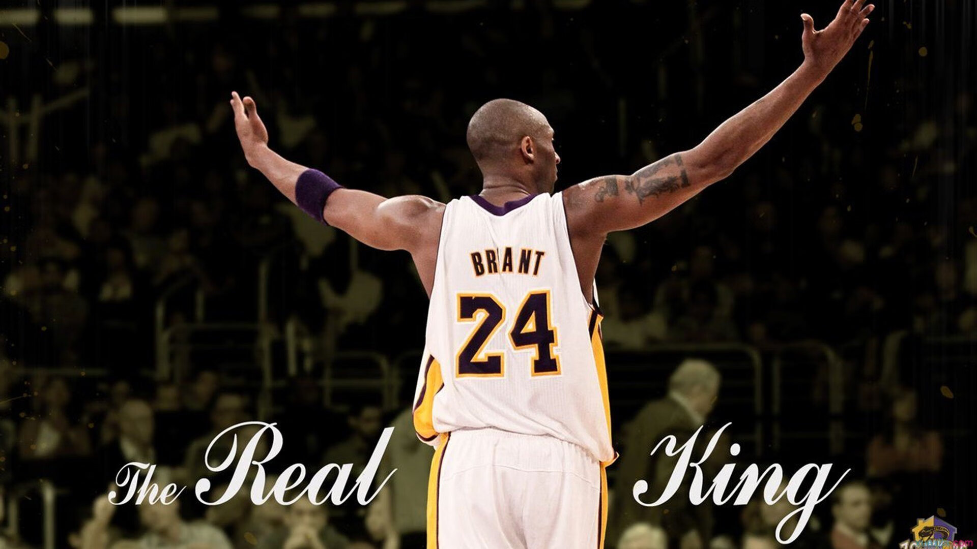 李娜讲述夺冠背后不为人知的故事，李娜两次夺冠